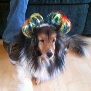 Meet your Posher, Candy